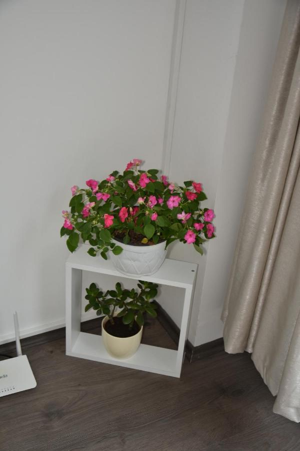 Blue Corner Apartment سكوبجي المظهر الخارجي الصورة